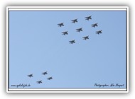 Jaguar formation_1